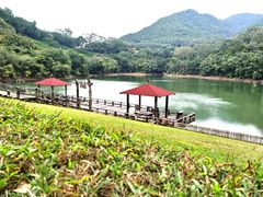 -雁南飞茶田景区