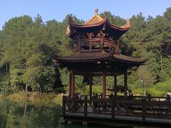 -铁山坪森林公园