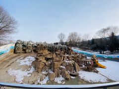 -青藏高原野生动物园