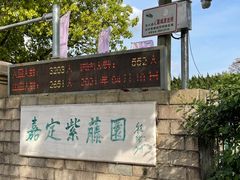 -嘉定紫藤园