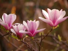 -贵阳市花溪国家城市湿地公园