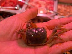 -红灯笼龙凤饭店(宁波老字号店)