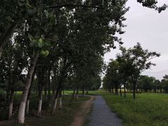 -汉长安城未央宫国家考古遗址公园