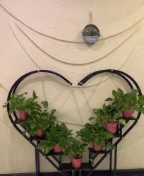 -纵享怡月月子中心(西稍门店)