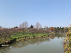 -上海海湾国家森林公园