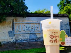 -猫的魔法密林(衣裳街店)