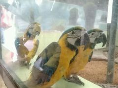 -石家庄市动物园