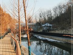-白水寺森林公园