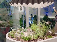 -春树下·树屋花房西餐厅(罍街AS1980店)