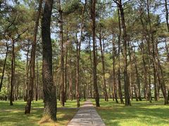 -Club Med地中海俱乐部·桂林度假村