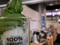 抹茶椰椰芭菲-THE MATCHA TOKYO抹茶东京