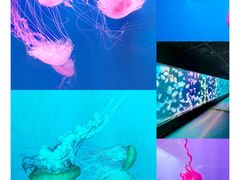 -大连老虎滩海洋公园