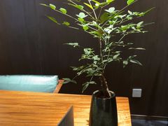 -王府茶楼茶宴·创意菜(大观园总店)
