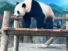 -武汉动物园