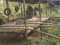 -西双版纳原始森林公园