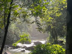 -广州白江湖森林公园