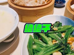 -点都德·毕德寮