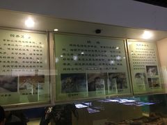 -上海昆虫博物馆