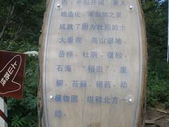 -凤凰山国家森林公园