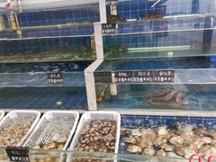-常家活海鲜小吃(仅一家无分店)