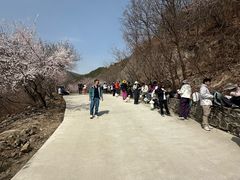 -北京鹫峰国家森林公园