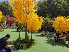 -西北轻工批发市场