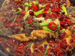 -老板恋上鱼(高新万达店)