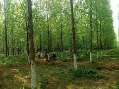 -白鹭湾湿地公园