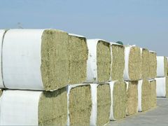 苜蓿草发送-盛铁物流