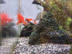 -苏州人家·精致苏帮菜(斜塘店)