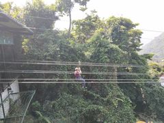 -呀诺达热带雨林