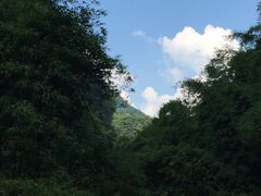 -华蓥山天意谷景区