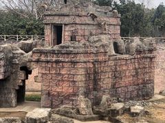 -南昌动物园