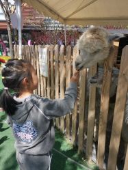 -萌宠亲子动物乐园(槐房万达店)