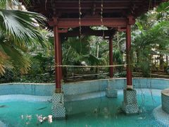 -黑龙江中医药大学附属第一医院