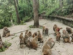 -黔灵山公园