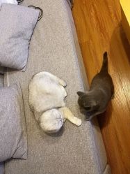 -青木造型HAIR·あおき髪を刈る潮人店