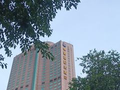 -南京维景国际大酒店(南京博物院店)