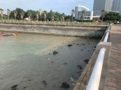 -五缘湾湿地公园