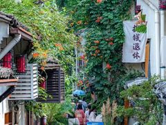 -西湖外事游船(花港观鱼码头)