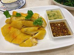 正宗白切鸡-巫记鸡饭店