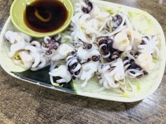 芥末海菊花-贞姨美食·老字号海鲜大排档