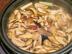 -滇野云南野生菌餐厅(陕西南路店)