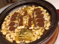 -院里寻菜·精致庭院菜(观沙岭店)