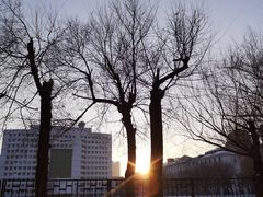 -哈尔滨商业大学(南校区)