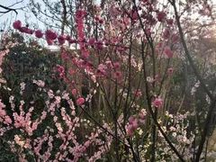 -悦隆庄温泉度假酒店