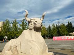 -永定河休闲森林公园