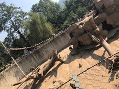 -西安秦岭野生动物园