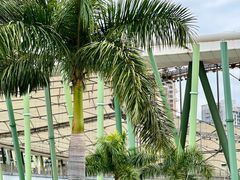 -深圳市宝安体育中心体育场