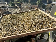 -杨家堂村